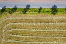 AERIAL ART - hay tracks on a field - Schleswig Flensburg district - Germany 07 AERIAL ART - hay tracks on a field - Schleswig Flensburg district - Germany