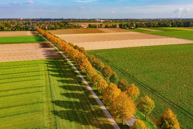 06_3 AUTUMN COLORS - around MOENCHENGLADBACH