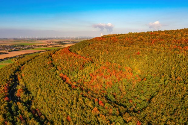 06_4 AUTUMN COLORS - around KERPEN