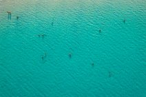 AERIAL ART - people in blue waters - Brandinchi beach - Sardinia - Italy AERIAL ART - people in blue waters - Brandinchi beach - Sardinia - Italy.jpg