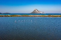 AERIAL ART - Flamingos in a pond near Porto Taverna Beach - Sardinia - Italy 2 AERIAL ART - Flamingos in a pond near Porto Taverna Beach - Sardinia - Italy 2.jpg