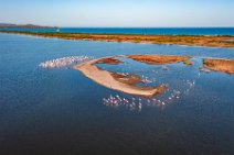 AERIAL ART - flocks of Flamingos resting in the Pond of San Teodoro - Sardinia - Italy 17 AERIAL ART - flocks of Flamingos resting in the Pond of San Teodoro - Sardinia - Italy 17.jpg