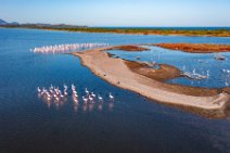 AERIAL ART - flocks of Flamingos resting in the Pond of San Teodoro - Sardinia - Italy 18 AERIAL ART - flocks of Flamingos resting in the Pond of San Teodoro - Sardinia - Italy 18.jpg