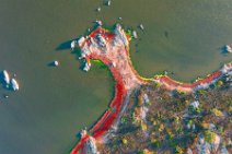 AERIAL ART - vegetation around Pond of San Teodoro - Sardinia - Italy 30 AERIAL ART - vegetation around Pond of San Teodoro - Sardinia - Italy 30.jpg