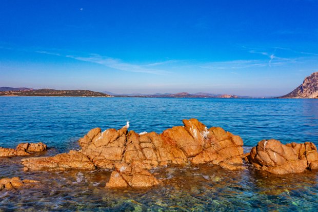 ISOLA DI PRORATORA + CAPO CODA CAVALLO