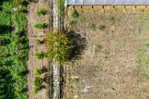AERIAL ART - farm garden in Riposto Archi - Sicily - Italy 1 AERIAL ART - farm garden in Riposto Archi - Sicily - Italy 1.jpg