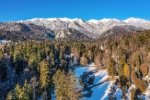 AERIAL ART - forest and Carpathians - near Busteni - Romania AERIAL ART - forrest and Carpathians - near Busteni - Romania.jpg