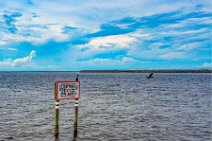 AERIAL ART - Pelicans on a slow speed sign - near Picnic Island - Florida - USA 2 AERIAL ART - Pelicans on a slow speed sign - near Picnic Island - Florida - USA 2.jpg