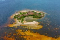 AERIAL ART - Picnic Island - Florida - USA 03 AERIAL ART - Picnic Island - Florida - USA 03.jpg