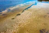 AERIAL ART - shallow water around Picnic Island - Florida - USA 2 AERIAL ART - shallow water around Picnic Island - Florida - USA 2.jpg