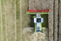 AERIAL ART - rapeseed harvest with Claas harvester - Germany 02 AERIAL ART - rapeseed harvest with Claas harvester - Germany