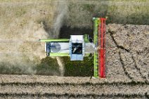 AERIAL ART - rapeseed harvest with Claas harvester - Germany 06 AERIAL ART - rapeseed harvest with Claas harvester - Germany