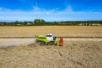 AERIAL ART - rapeseed harvest with Claas harvester - Germany 12 AERIAL ART - rapeseed harvest with Claas harvester - Germany