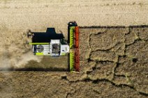 AERIAL ART - rapeseed harvest with Claas harvester - Germany 13 AERIAL ART - rapeseed harvest with Claas harvester - Germany
