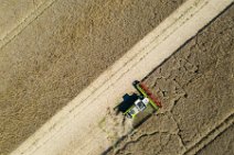 AERIAL ART - rapeseed harvest with Claas harvester - Germany 14 AERIAL ART - rapeseed harvest with Claas harvester - Germany