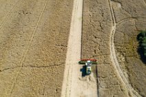 AERIAL ART - rapeseed harvest with Claas harvester - Germany 15 AERIAL ART - rapeseed harvest with Claas harvester - Germany