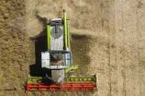 AERIAL ART - rapeseed harvest with Claas harvester - Germany 19 AERIAL ART - rapeseed harvest with Claas harvester - Germany