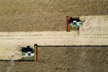 AERIAL ART - rapeseed harvest with two Claas harvesters - Germany 02 AERIAL ART - rapeseed harvest with two Claas harvesters - Germany