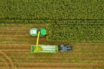 AERIAL ART - CORN HARVEST with corn chopper and tractor and trailer 02 AERIAL ART - CORN HARVEST with corn chopper and tractor and trailer 02.jpg