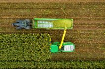 AERIAL ART - CORN HARVEST with corn chopper and tractor and trailer 07 AERIAL ART - CORN HARVEST with corn chopper and tractor and trailer 07.jpg