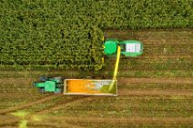 AERIAL ART - CORN HARVEST with corn chopper and tractor and trailer 14 AERIAL ART - CORN HARVEST with corn chopper and tractor and trailer 14.jpg