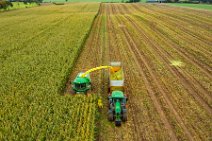 AERIAL ART - CORN HARVEST with corn chopper and tractor and trailer 18 AERIAL ART - CORN HARVEST with corn chopper and tractor and trailer 18.jpg