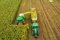 AERIAL ART - CORN HARVEST with corn chopper and tractor and trailer 19 AERIAL ART - CORN HARVEST with corn chopper and tractor and trailer 19.jpg