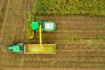 AERIAL ART - CORN HARVEST with corn chopper and tractor and trailer 22 AERIAL ART - CORN HARVEST with corn chopper and tractor and trailer 22.jpg