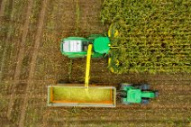 AERIAL ART - CORN HARVEST with corn chopper and tractor and trailer 24 AERIAL ART - CORN HARVEST with corn chopper and tractor and trailer 24.jpg