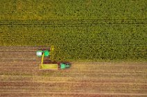 AERIAL ART - CORN HARVEST with corn chopper and tractor and trailer 25 AERIAL ART - CORN HARVEST with corn chopper and tractor and trailer 25.jpg