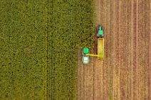 AERIAL ART - CORN HARVEST with corn chopper and tractor and trailer 26 AERIAL ART - CORN HARVEST with corn chopper and tractor and trailer 26.jpg