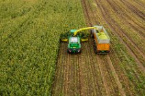 AERIAL ART - CORN HARVEST with corn chopper and tractor and trailer 30 AERIAL ART - CORN HARVEST with corn chopper and tractor and trailer 30.jpg