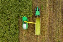 AERIAL ART - CORN HARVEST with corn chopper and tractor and trailer 32 AERIAL ART - CORN HARVEST with corn chopper and tractor and trailer 32.jpg