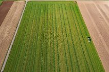 AERIAL ART - grass harvest - Germany 04 AERIAL ART - grass harvest - Germany 04.jpg