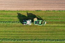AERIAL ART - grass harvest - Germany 05 AERIAL ART - grass harvest - Germany 05.jpg