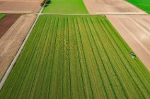 AERIAL ART - grass harvest - Germany 06 AERIAL ART - grass harvest - Germany 06.jpg