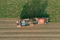 AERIAL ART - SUGAR BEET HARVESTER - near Bonn - Germany 03 AERIAL ART - SUGAR BEET HARVESTER - near Bonn - Germany 03.jpg