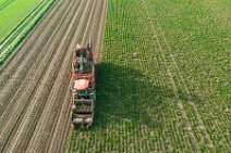 AERIAL ART - SUGAR BEET HARVESTER - near Bonn - Germany 04 AERIAL ART - SUGAR BEET HARVESTER - near Bonn - Germany 04.jpg