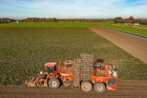 AERIAL ART - SUGAR BEET HARVESTER - near Bonn - Germany 05 AERIAL ART - SUGAR BEET HARVESTER - near Bonn - Germany 05.jpg