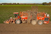 AERIAL ART - SUGAR BEET HARVESTER - near Bonn - Germany 06 AERIAL ART - SUGAR BEET HARVESTER - near Bonn - Germany 06.jpg