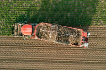 AERIAL ART - SUGAR BEET HARVESTER - near Bonn - Germany 09 AERIAL ART - SUGAR BEET HARVESTER - near Bonn - Germany 09.jpg