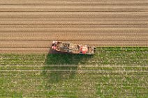 AERIAL ART - SUGAR BEET HARVESTER - near Bonn - Germany 12 AERIAL ART - SUGAR BEET HARVESTER - near Bonn - Germany 12.jpg