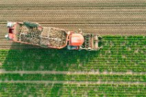 AERIAL ART - SUGAR BEET HARVESTER - near Bonn - Germany 13 AERIAL ART - SUGAR BEET HARVESTER - near Bonn - Germany 13.jpg