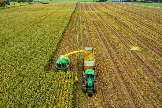 CORN CHOPPER