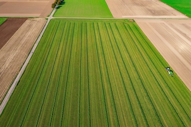 GRASS + STRAW WORKS