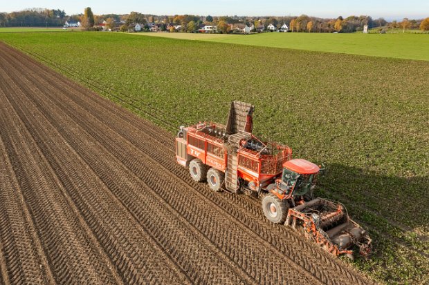 SUGAR BEET HARVESTER
