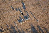 AERIAL ART - Shepard with goats and sheeps in Teotihuacan - seen from Hot Air Balloon - Mexico 01 Shepard with goats and sheeps in Teotihuacan - seen from Hot Air Balloon - Mexico 01