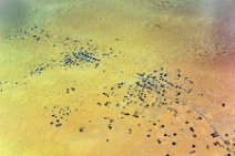 GEO ART - fields around city of El Qued - Sahara - Algeria 03 GEO ART - fields around city of El Qued - Sahara - Algeria 03.jpg