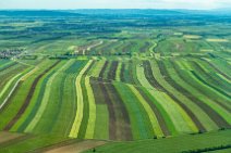 GEO ART - Green fields with stripe pattern near Vienna - Austria 01 GEO ART - Green fields with stripe pattern near Vienne - Austria 01