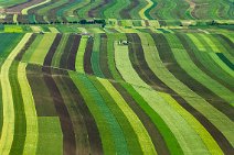 GEO ART - Green fields with stripe pattern near Vienna - Austria 02 GEO ART - Green fields with stripe pattern near Vienne - Austria 02